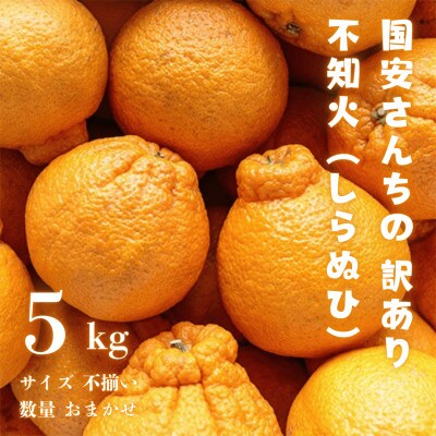 みかんの大トロ】糖度12.0以上酸1.4以下 糖酸選別品 訳あり愛媛 みかんの大トロ】糖度12.0以上酸1.4以下 糖酸選別品 訳あり愛媛