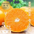 【みかんの大トロ】糖度12.0以上 酸1.4以下 糖酸選別品 愛媛セトカ 5kg【G20-65】