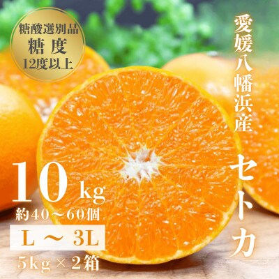 【みかんの大トロ】糖度12.0以上 酸1.4以下 糖酸選別品 愛媛セトカ 10kg【H20-77】