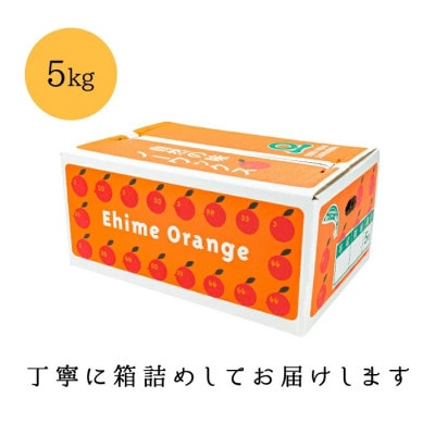 【愛媛が誇る 高級みかん 希少品種】甘平 (かんぺい) 5kg【H20-66】