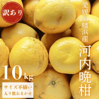 《果汁たっぷりジューシー》産地直送 愛媛八幡浜産 訳あり 河内晩柑10kg【D20-72】