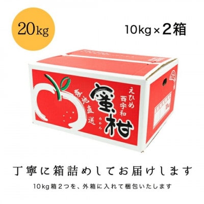 【創業85年 親子4代 愛媛みかん 一筋】愛媛八幡浜産 極早生みかん 20kg【H20-86】