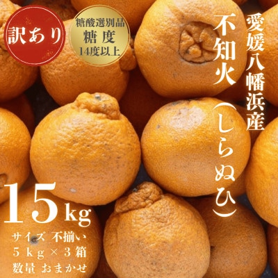 【糖度14.0以上酸1.4以下】糖酸選別品 愛媛産 訳あり不知火(しらぬひ)15kg【G20-96】