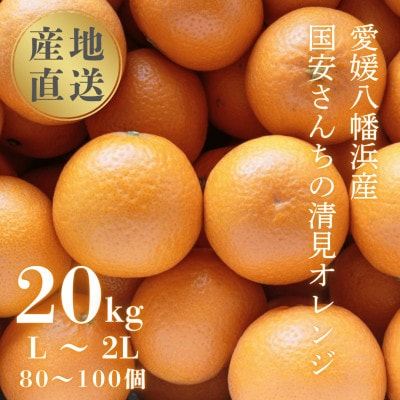 【まるで食べるジュース!越冬完熟品】愛媛産 清見オレンジ 20kg【H20-94】