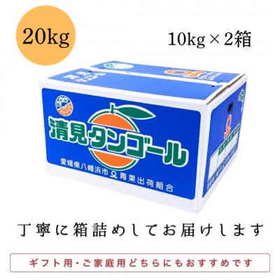 【まるで食べるジュース!越冬完熟品】愛媛産 清見オレンジ 20kg【H20-94】