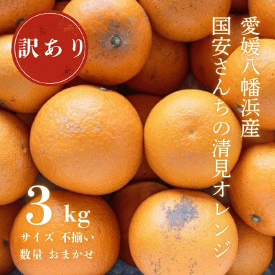 【まるで食べるジュース!越冬完熟品】愛媛産 訳あり 清見オレンジ 3kg【C20-87】