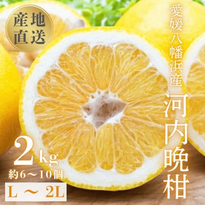 《果汁たっぷりジューシー》産地直送 愛媛八幡浜産 河内晩柑2kg【C20-90】
