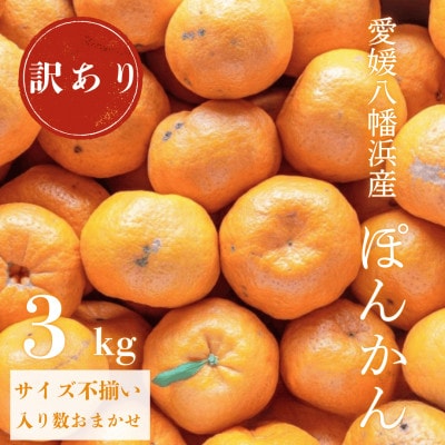 【南国を感じさせる独特の香り】訳あり 愛媛ポンカン 3kg【C20-91】