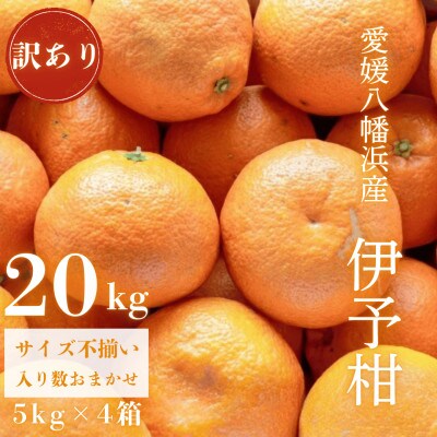 【爽やか香りと柔らかジューシーな果肉】愛媛八幡浜産 訳あり 宮内伊予柑 20kg【G20-92】