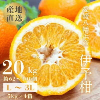 【爽やか香りと柔らかジューシーな果肉】愛媛八幡浜産 宮内伊予柑 20kg【H20-95】