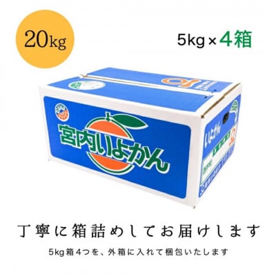 【爽やか香りと柔らかジューシーな果肉】愛媛八幡浜産 宮内伊予柑 20kg【H20-95】