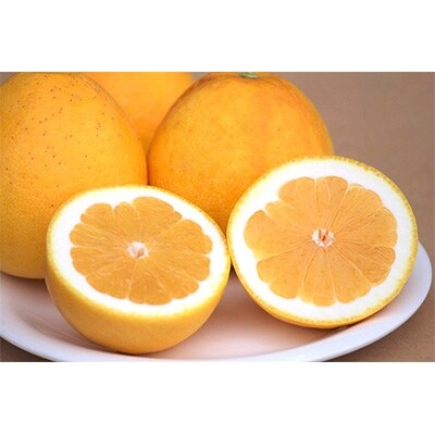 愛媛県産 かじ坊の河内晩柑 10kg