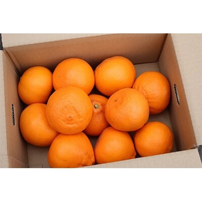 愛媛県産 かじ坊のせとか 3kg 家庭用