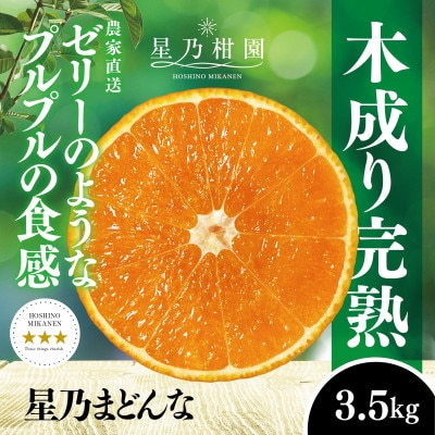 星乃みかん園の 星乃まどんな (3.5kg)【D45-63】