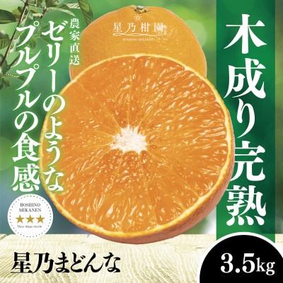 星乃みかん園の 星乃まどんな (3.5kg)【D45-63】