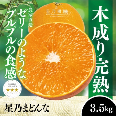 星乃みかん園の 星乃まどんな (3.5kg)【D45-63】
