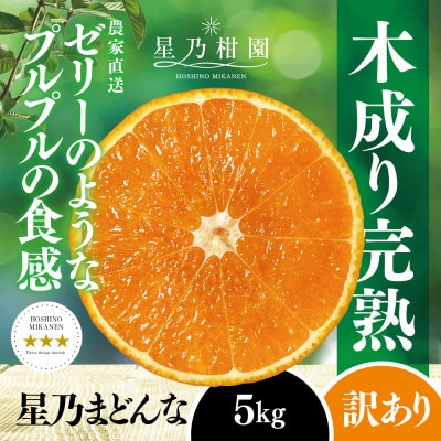 【三つ星ブランド】星乃みかん園の星乃まどんな(5kg)【訳あり】【D45-62】
