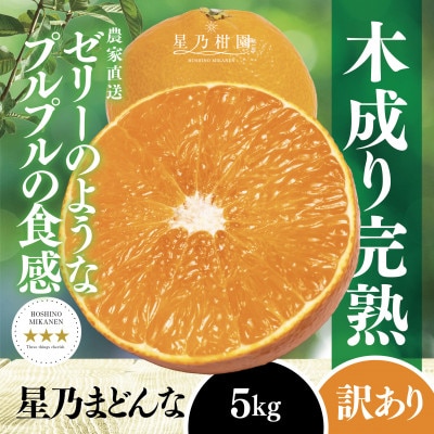 【三つ星ブランド】星乃みかん園の星乃まどんな(5kg)【訳あり】【D45-62】