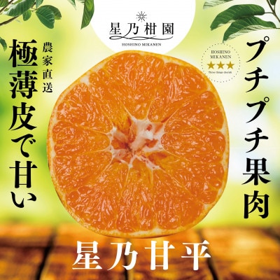 星乃みかん園の星乃甘平(3.5kg)【E45-46】