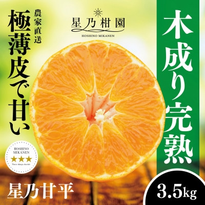 星乃みかん園の星乃甘平(3.5kg)【D45-46】