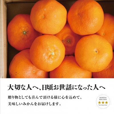 星乃みかん園の星乃甘平(3.5kg)【E45-46】