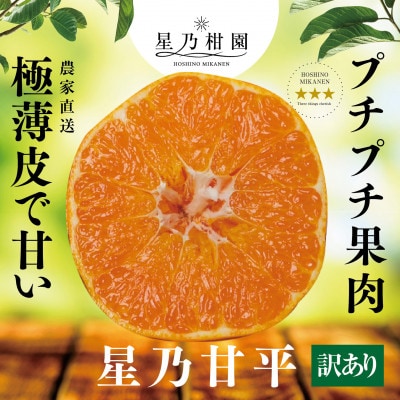 【訳あり】星乃みかん園の星乃甘平(5kg)【D45-61】