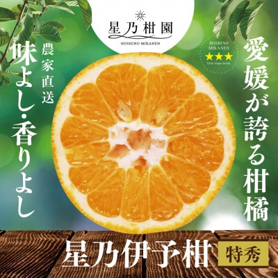 星乃みかん園の伊予柑(4kg)【C45-59】