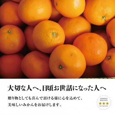 星乃みかん園の伊予柑(4kg)【C45-59】