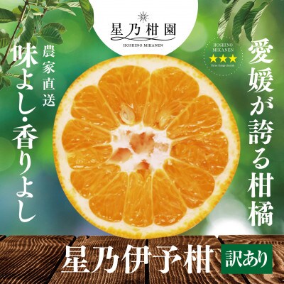 【 訳あり 】 星乃 みかん 園の 伊予柑 ( 8kg )【C45-58】