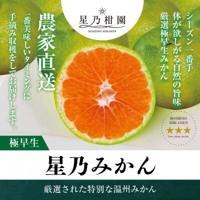 星乃 みかん 園の 極早生 みかん 5kg 【C45-54】