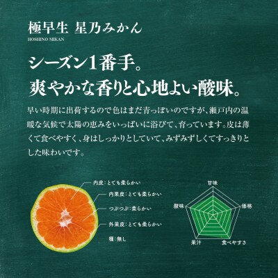星乃 みかん 園の 極早生 みかん 5kg 【C45-54】