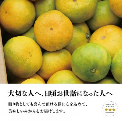 星乃 みかん 園の 極早生 みかん 5kg 【C45-54】