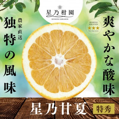 【特秀品】星乃みかん園の星乃甘夏 (4kg)【C45-51】