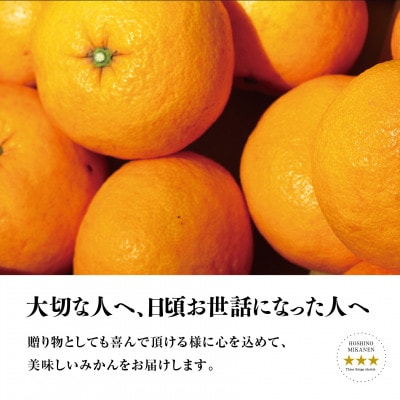 【特秀品】星乃みかん園の星乃甘夏 (4kg)【C45-51】