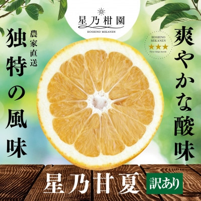 【訳あり】星乃みかん園の星乃甘夏 (8kg)【C45-50】
