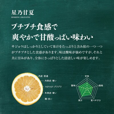 【訳あり】星乃みかん園の星乃甘夏 (8kg)【C45-50】