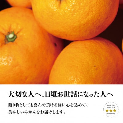 【訳あり】星乃みかん園の星乃甘夏 (8kg)【C45-50】