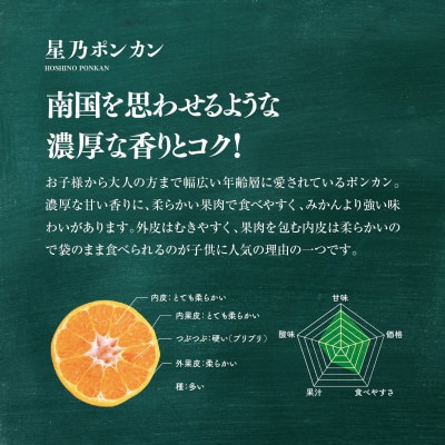 星乃 みかん 園の ポンカン 3.5kg ( 家庭用 )【C45-47】