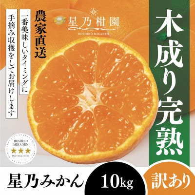 【訳あり】星乃みかん園の星乃みかん(10kg)【E45-64】