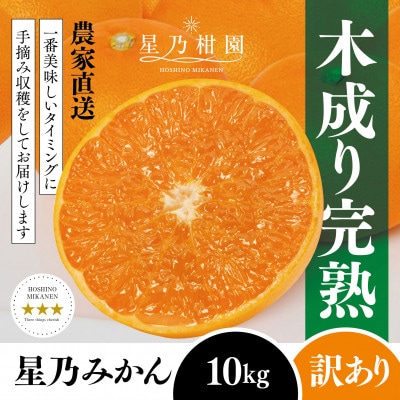 【訳あり】星乃みかん園の星乃みかん(10kg)【E45-64】