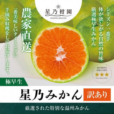 【 訳あり 】 星乃 みかん 園から届く 極早生 みかん ( 10kg )【C45-65】