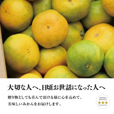 【 訳あり 】 星乃 みかん 園から届く 極早生 みかん ( 10kg )【C45-65】