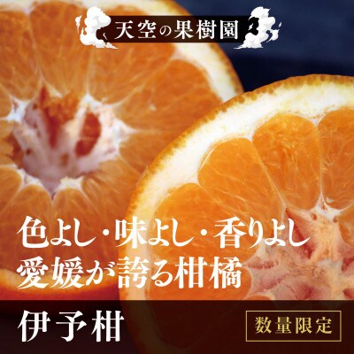 天空 の 果樹園 からの 伊予柑 8kg ( 家庭用 )【C45-66】