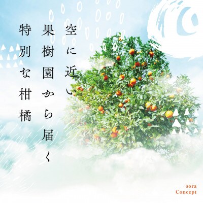 天空 の 果樹園 からの 伊予柑 8kg ( 家庭用 )【C45-66】