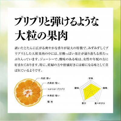 天空 の 果樹園 からの 伊予柑 8kg ( 家庭用 )【C45-66】