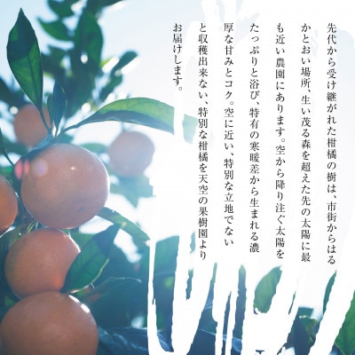 天空 の 果樹園 からの 伊予柑 8kg ( 家庭用 )【C45-66】