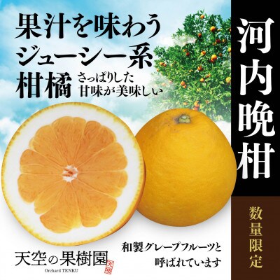 天空の果樹園からの河内晩柑 7kg(家庭用)【C45-25】