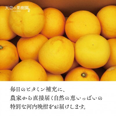 天空の果樹園からの河内晩柑 7kg(家庭用)【C45-25】