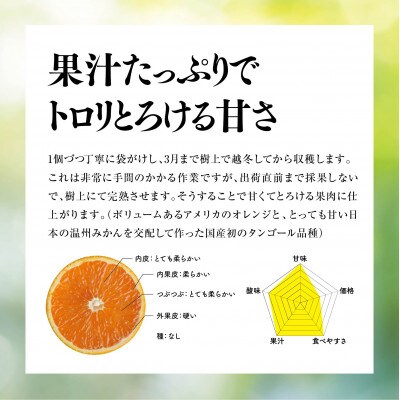 【訳あり】天空の果樹園から届く　そらきよみ (5kg)【C45-71】