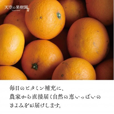 【訳あり】天空の果樹園から届く　そらきよみ (5kg)【C45-71】